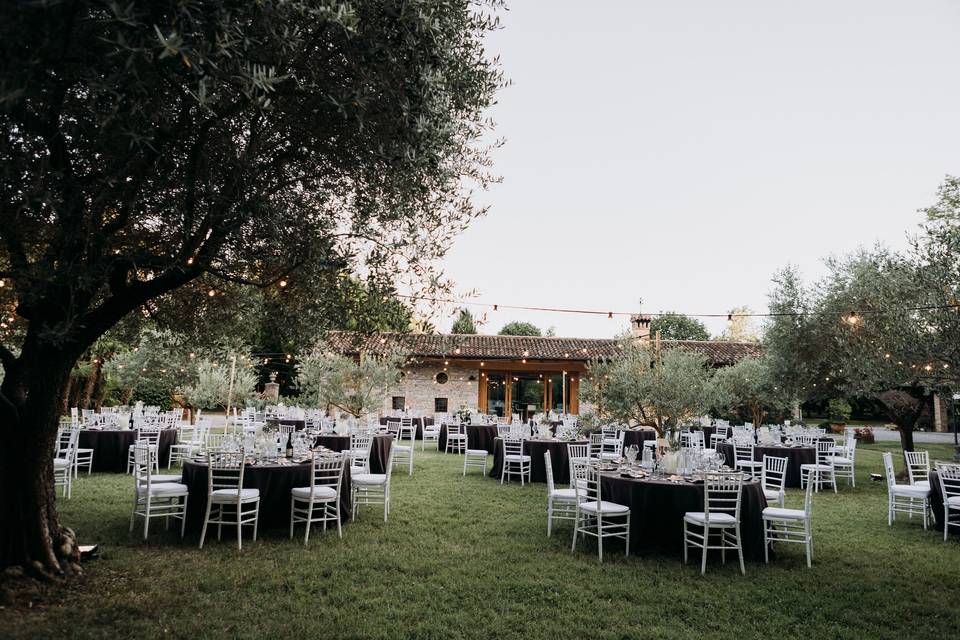 Parco Mediterraneo e Casaccia