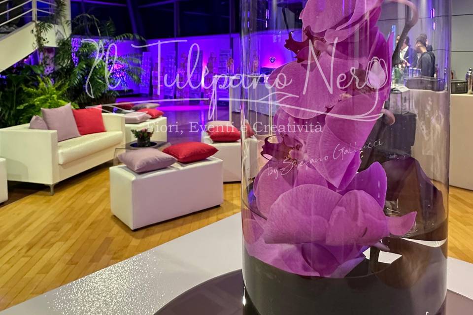Dettagli Allestimento