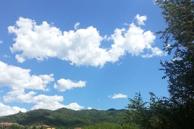 Agriturismo Il Castagneto