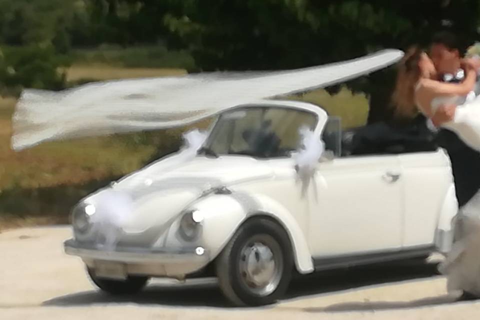 Cabrio maggiolone