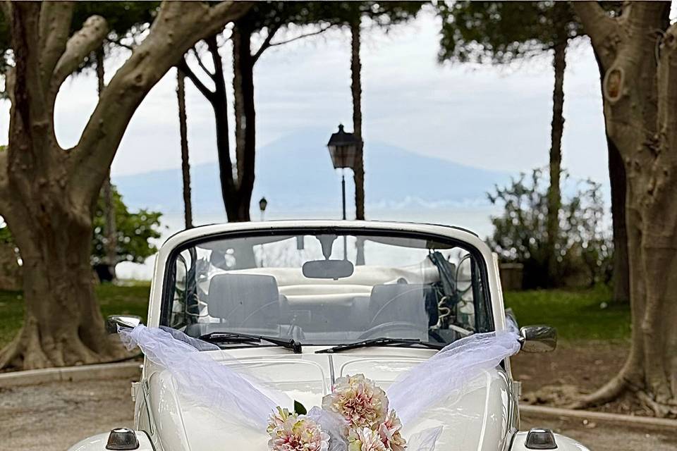 Noleggio Maggiolone cabrio mat