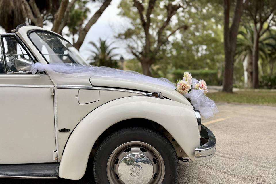 Maggiolone Volkswagen