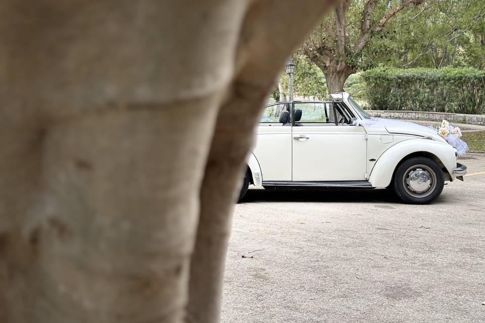 Cabrio