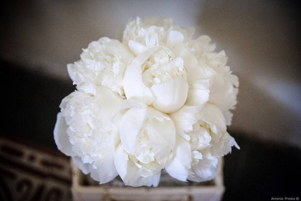 Bouquet peonie