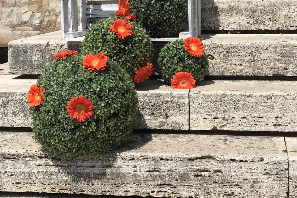 Laboratorio del fiore