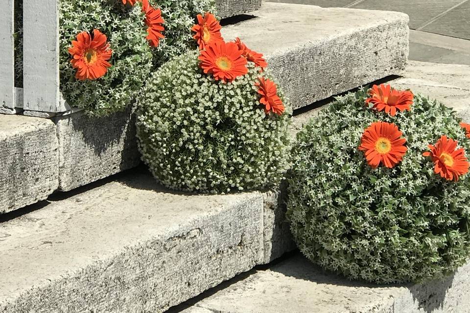 Laboratorio del fiore