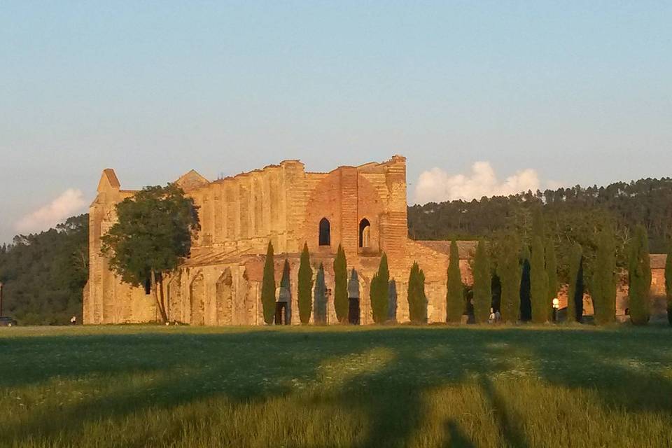 Abbazia san galgano