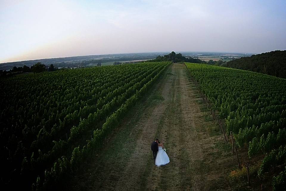 Drone nei vigneti di Parma