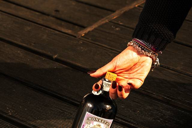 Selezione di gin premium