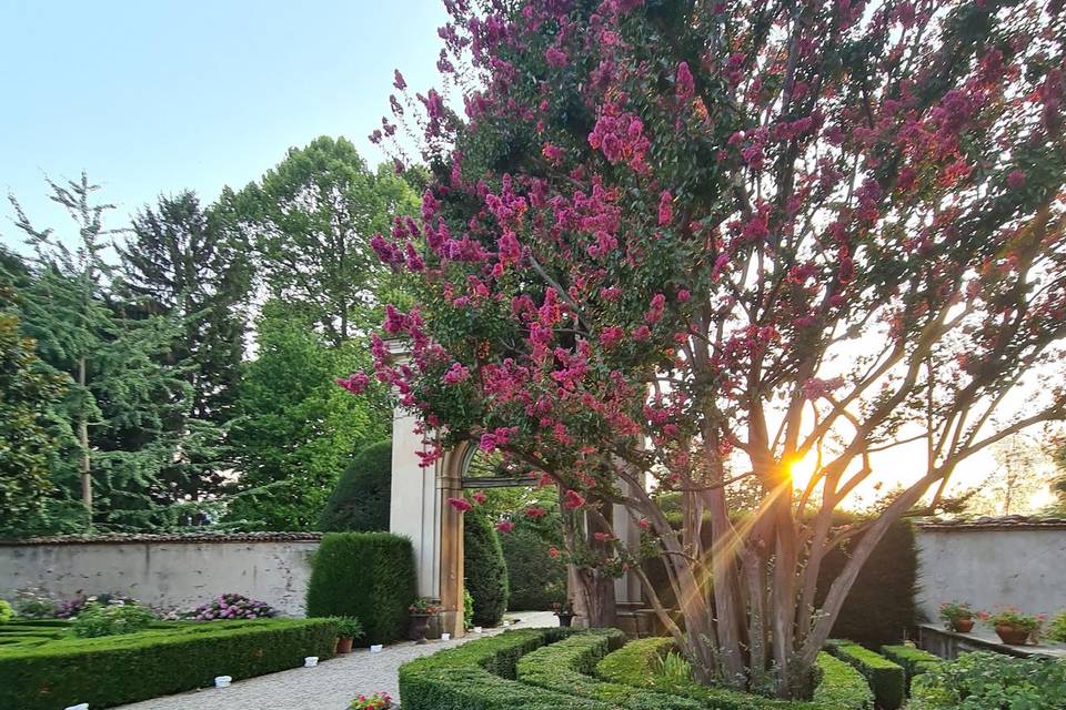 Aperitivo nel parco