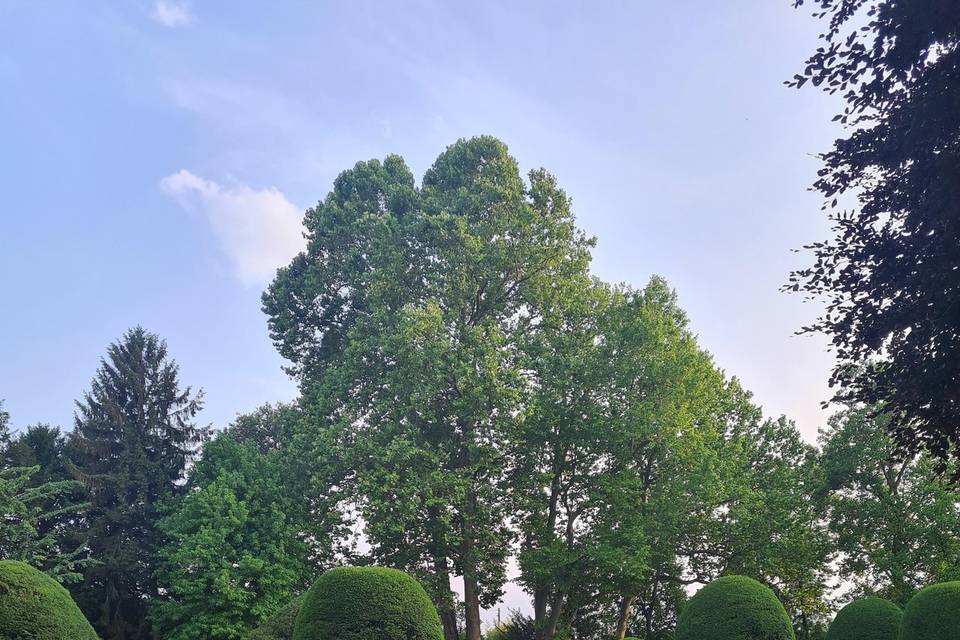 Aperitivo nel parco 2