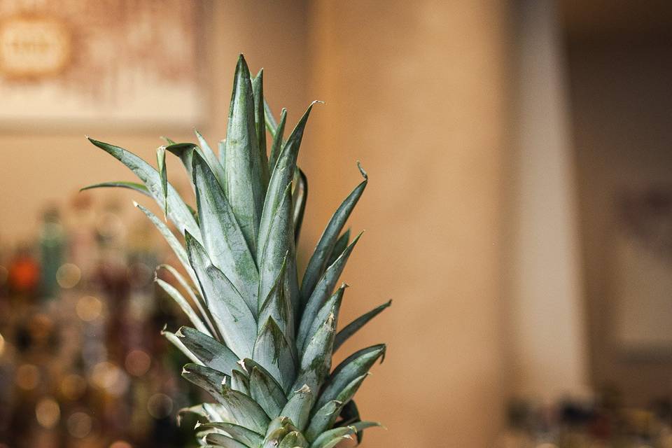 Piña colada