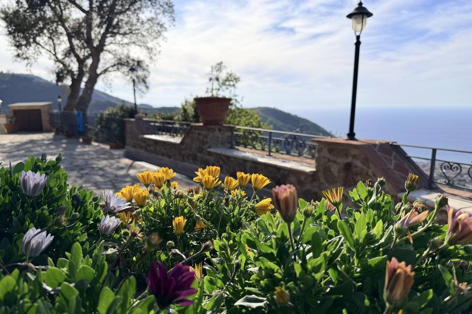 Panorama
