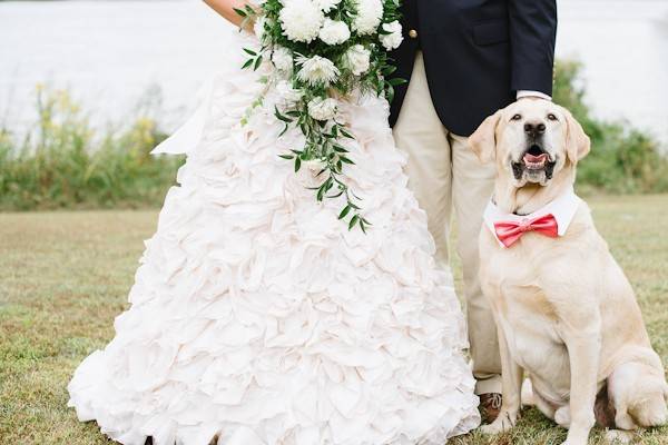 Matrimonio a 6 Zampe