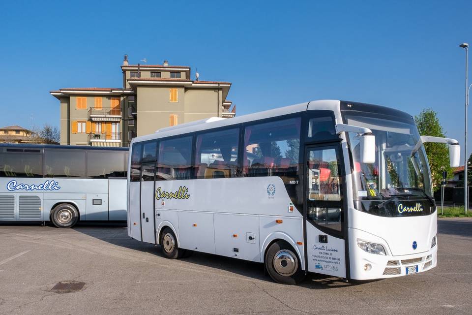 19 posti iveco daily