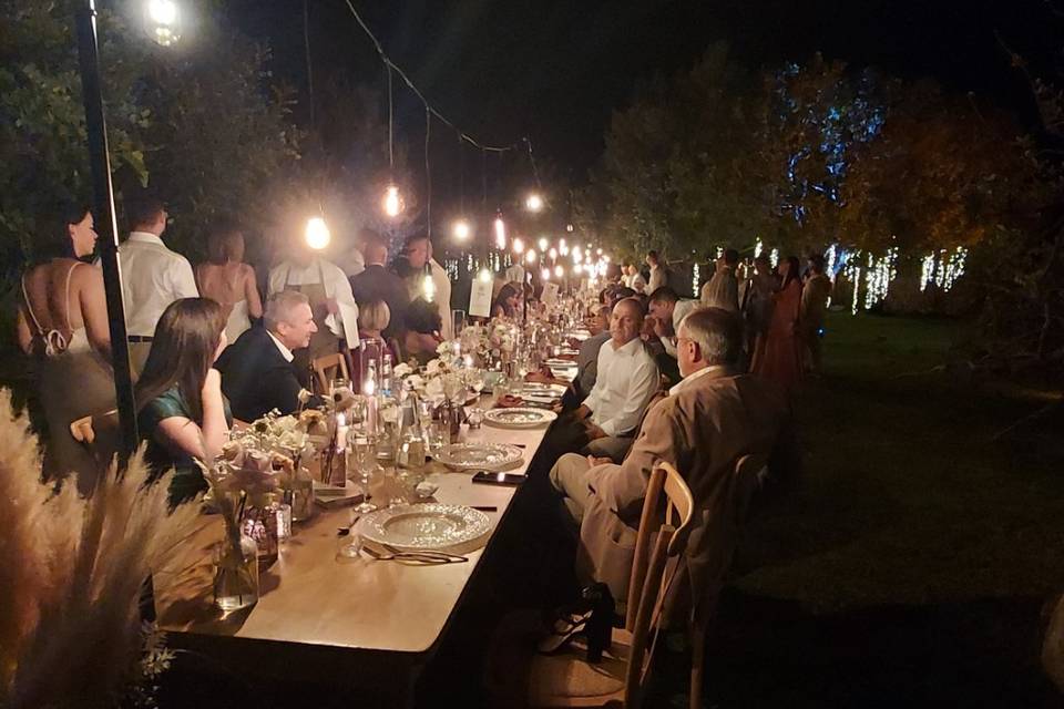 Cena sotto gli alberi