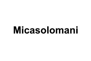 Micasolomani Logo