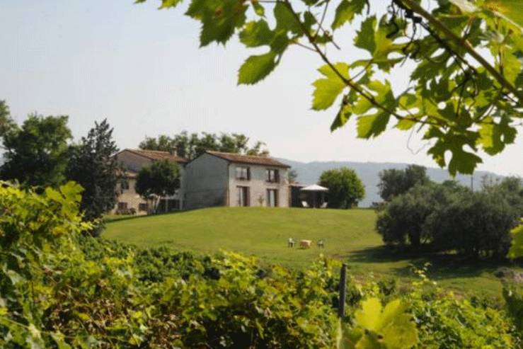 Tenuta giardino