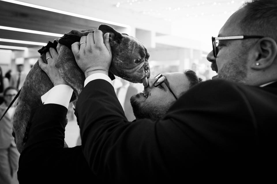 Matrimonio LGBT
