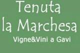 Tenuta la Marchesa