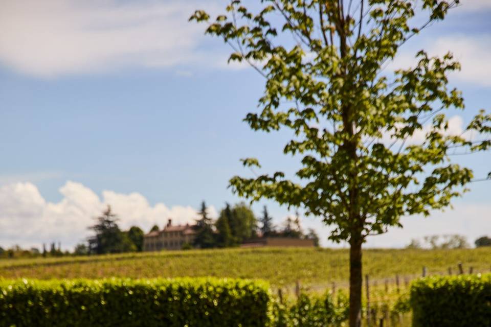 Giardino Wine Resort