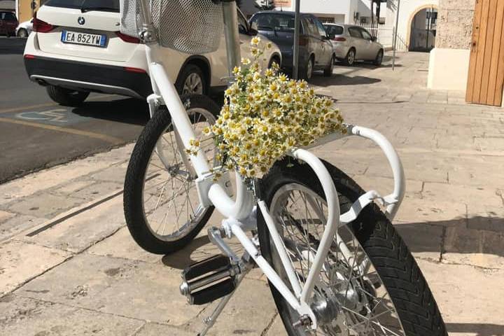 Bicicletta