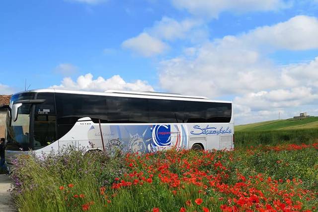 Bus in the flowers