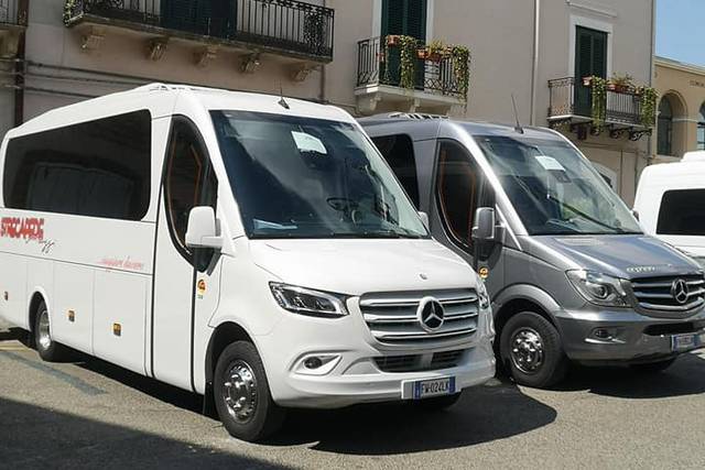 Minibus in bianco ai matrimoni