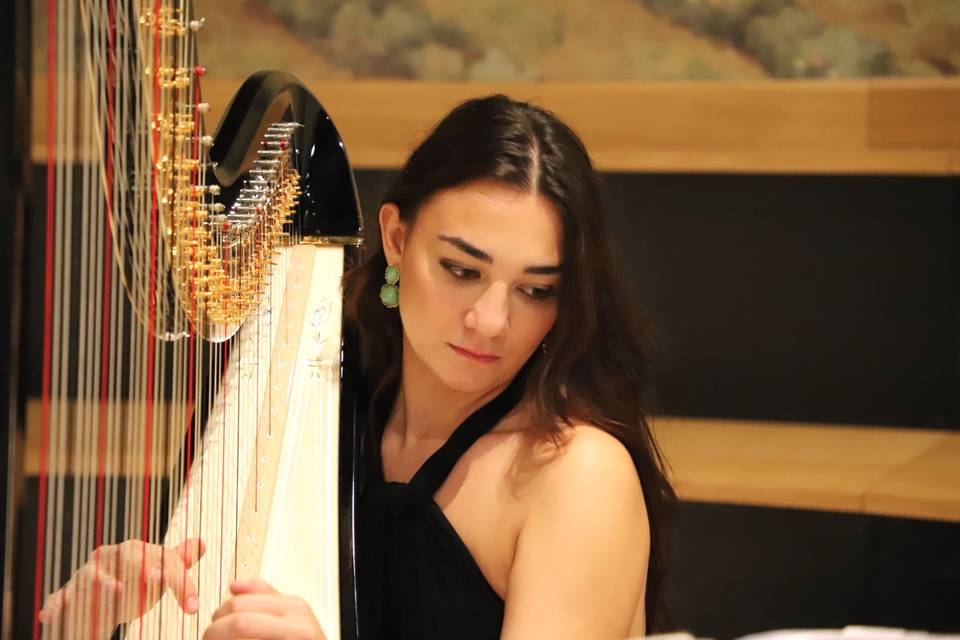 Antonietta Lamberti Arpista