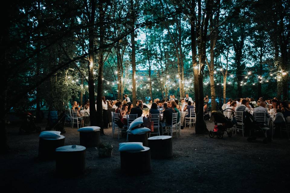 Matrimonio nel bosco