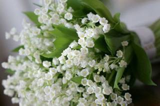 BDF La Bottega Dei Fiori Wedding & Events 1