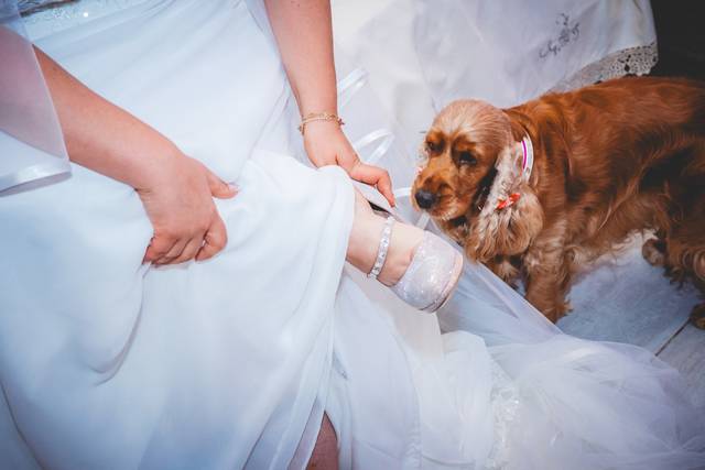 Matrimonio