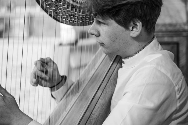 Benedikt Hohenegger - Arpista