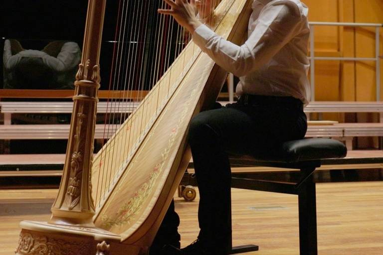 Benedikt Hohenegger - Arpista