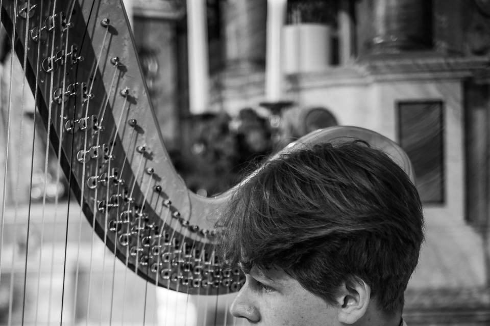 Benedikt Hohenegger - Arpista