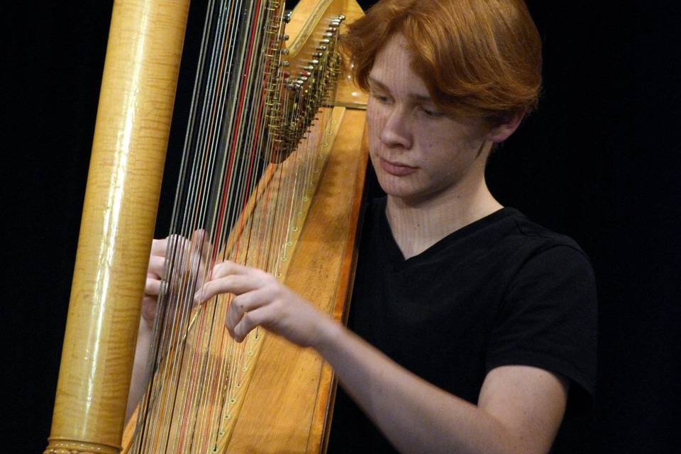 Benedikt Hohenegger - Arpista