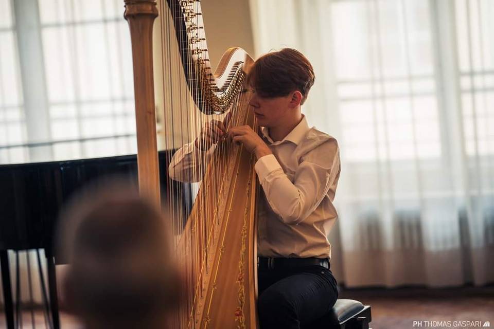 Benedikt Hohenegger - Arpista