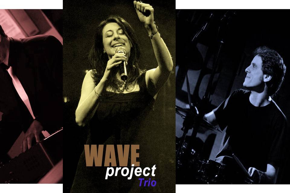 WAVE project Trio