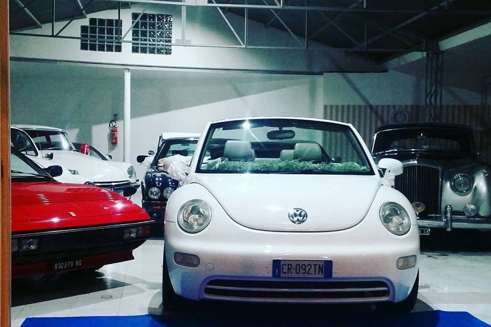 Vw new beetle