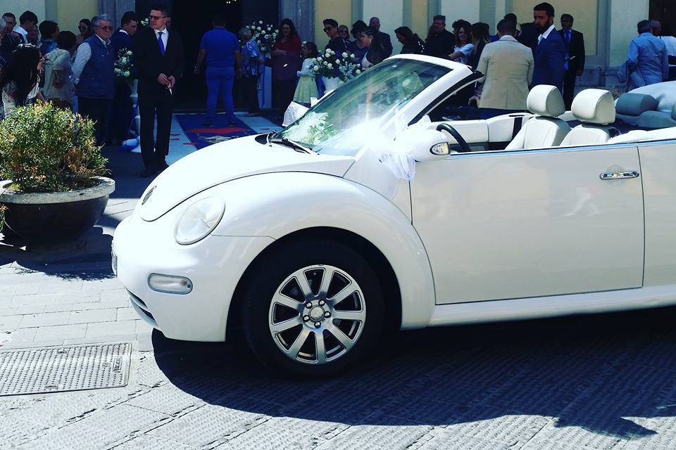 Vw new beetle