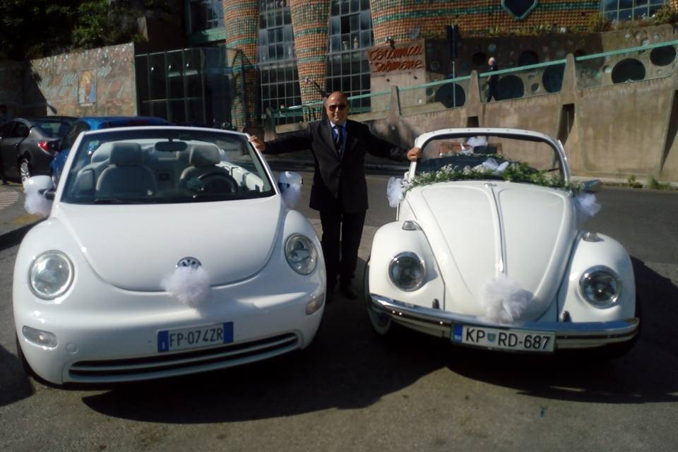 New beetle e maggiolino