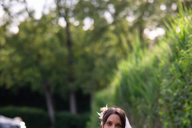 Wedding dogsitter