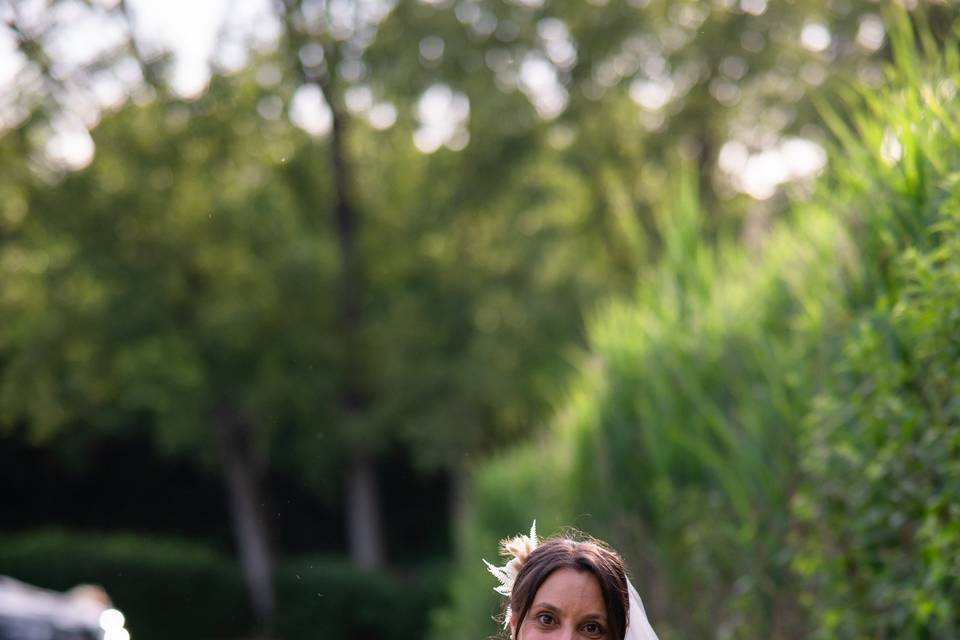 Wedding dogsitter