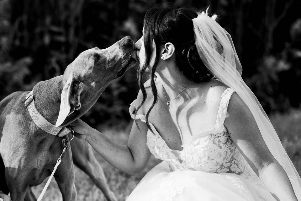 Dogworld