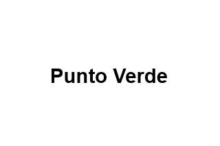 Punto Verde Logo