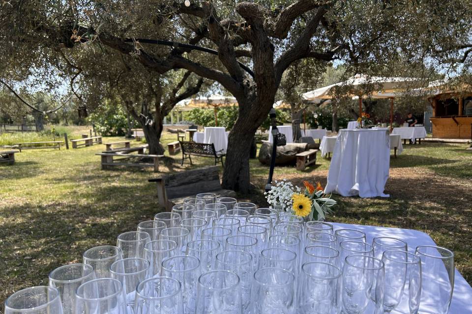 Aperitivo di benvenuto