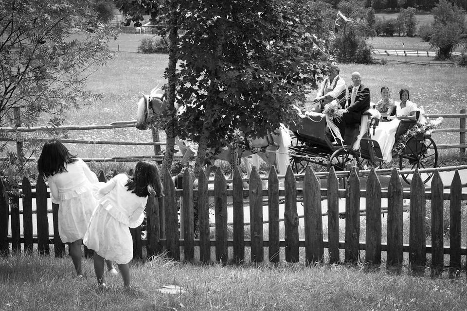 Fotograf hochzeit renon