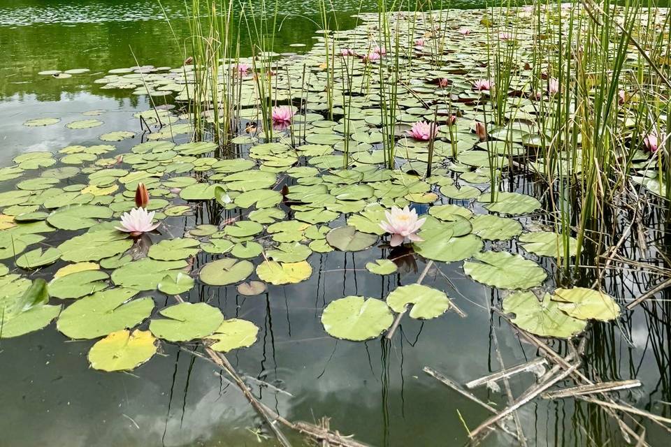 Lago Cesare