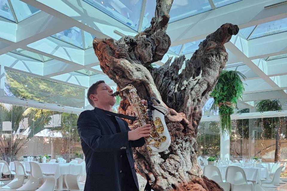 Sax Matrimonio Puglia