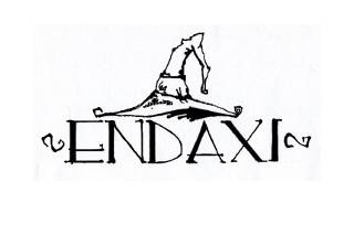 Endaxi logo